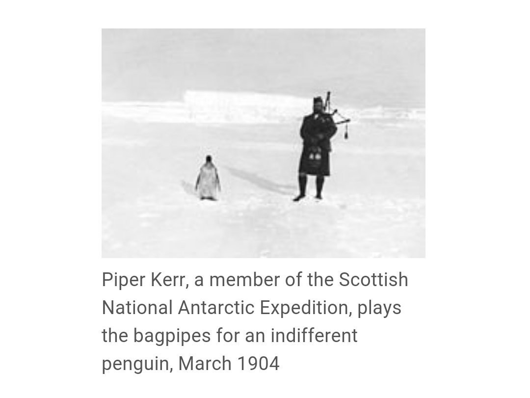 After some reflection, I have decided that this is my favourite photo caption on Wikipedia.