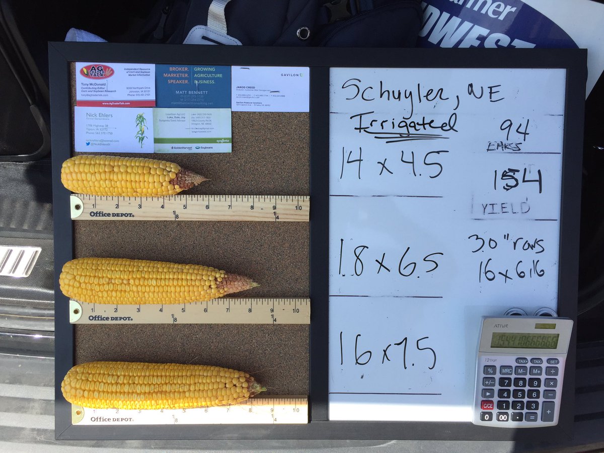 Yikes. Heat? Irrigated NE corn

#lookedexcellentfromtheroad <a href="/agtradertalk/">Garrett Toay</a> 

#pftour16