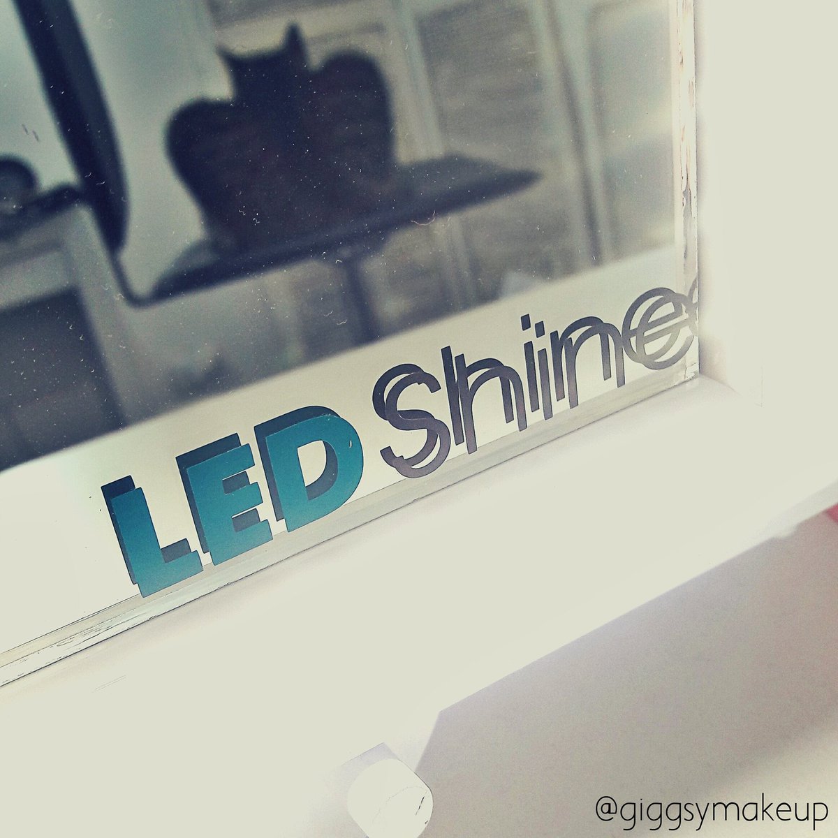 majoriosgaitan's tweet photo. El culo de mi gato adornando el espejo jaajaj! Pasen a ver mi video nuevo! Teo es fan de los espejos #LedShine ππ» https://t.co/y37T4ue4RY