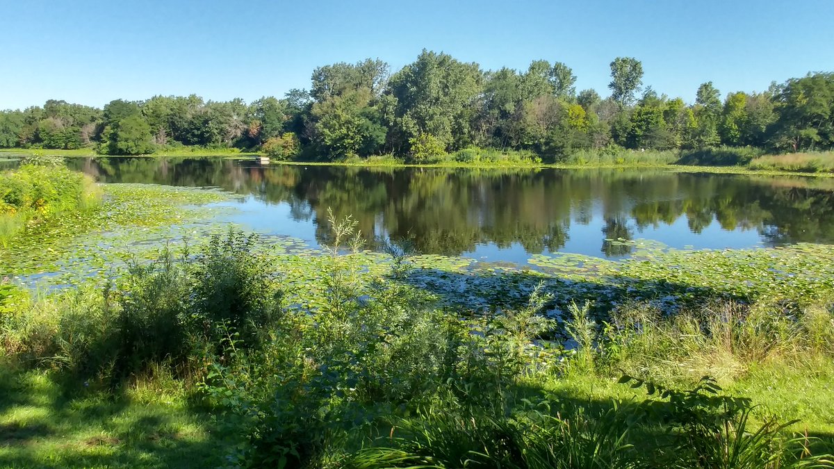 SandSeref_'s tweet photo. Peaceful... ❤🌳🌳
#LGG5. #naturephotography https://t.co/ZaTmCmThen