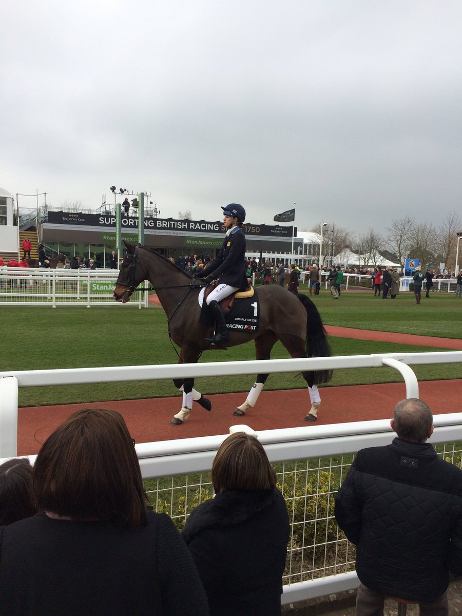 Jimbo_JumpsMan's tweet photo. Champion Chase, Grand National, Gold Cup & Champion Hurdle Winners #SizingEurope #ComplyOrDie #Denman #Punjabi #ROR https://t.co/FoCcd4rHz4