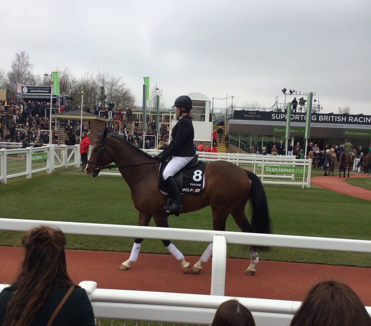 Jimbo_JumpsMan's tweet photo. Champion Chase, Grand National, Gold Cup & Champion Hurdle Winners #SizingEurope #ComplyOrDie #Denman #Punjabi #ROR https://t.co/FoCcd4rHz4