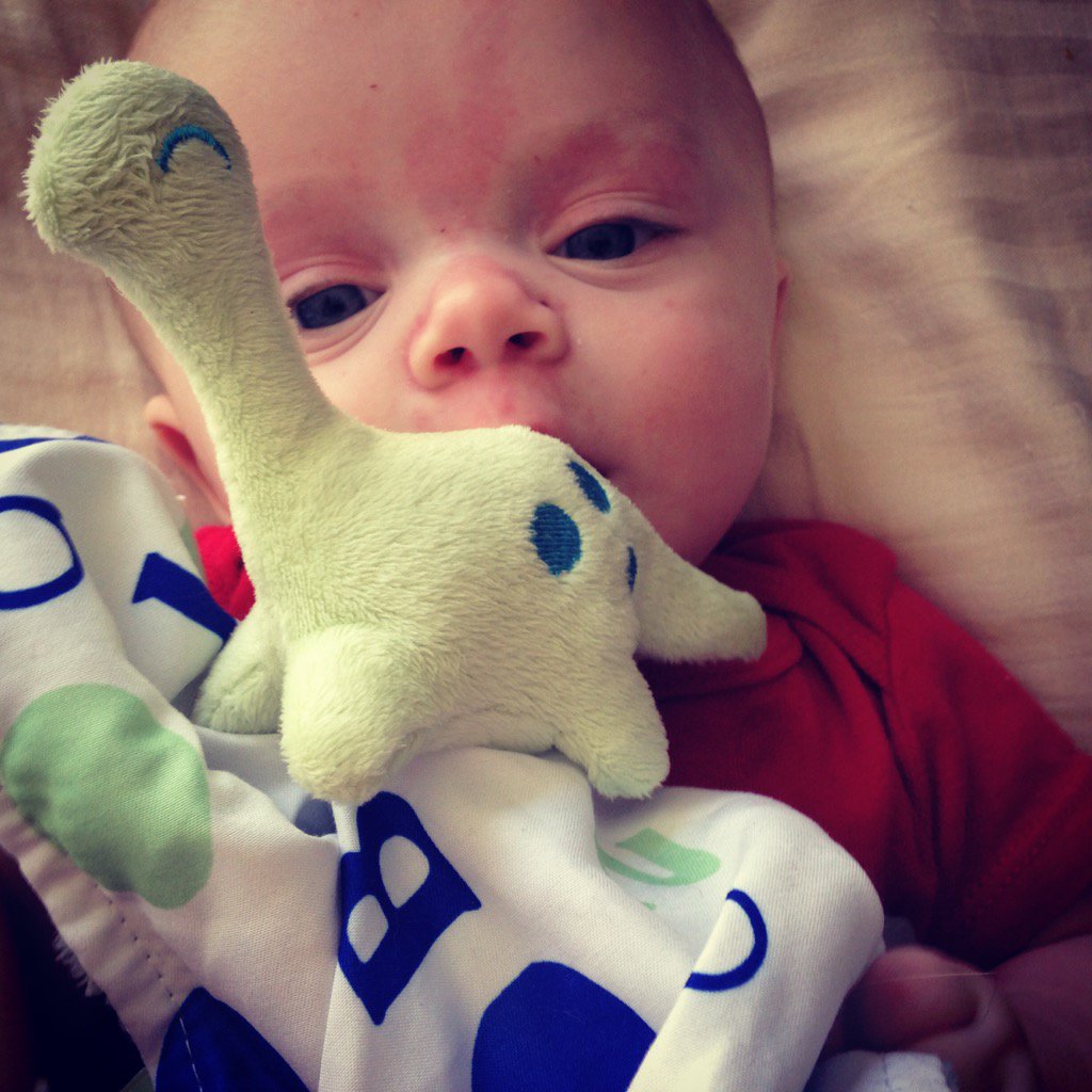 LeighAnnTowne's tweet photo. Bronson loves his #tagblanket by @babyJackCo #boymom #safetyfirst @spbangspbang @FOX17MorningMix https://t.co/CixcqpeXWy