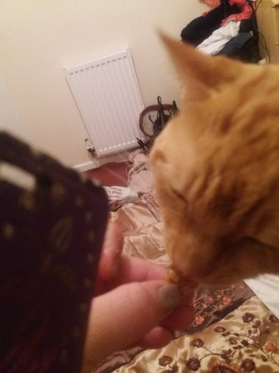 Oneviolentkitty's tweet image. On a health kick .. eating fruit and fibre