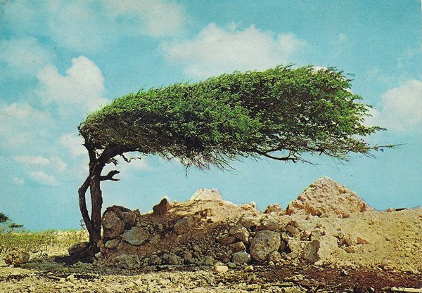 LOURDES GE ® tweet media