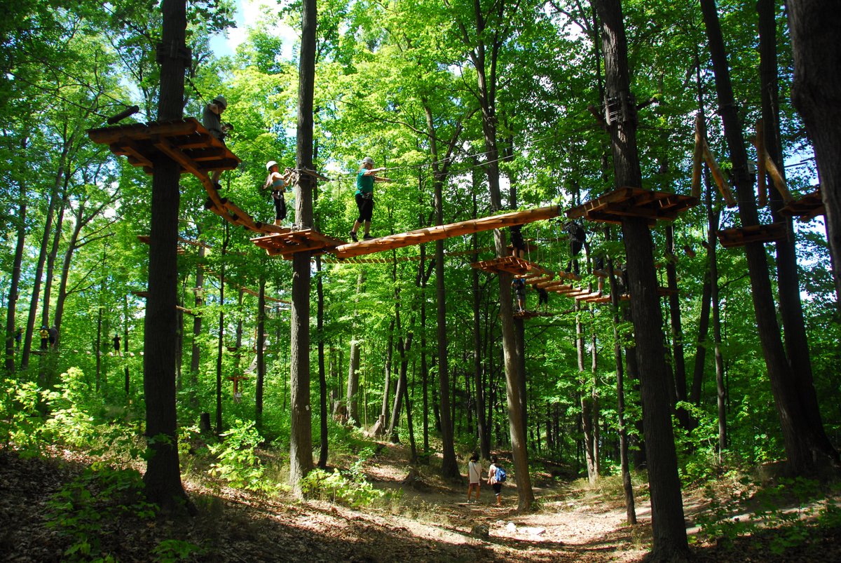 BucketListTO's tweet image. We all had a great time @TreetopTrekking this weekend - as always!! #treetoptrekking #bucketlisttoronto