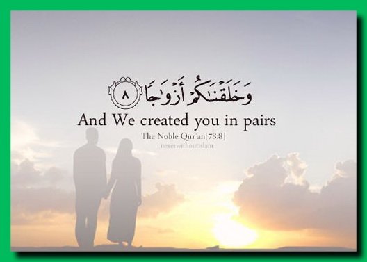 sultan_e3's tweet photo. https://t.co/9OljPgWsif https://t.co/xeaZyYCqI8