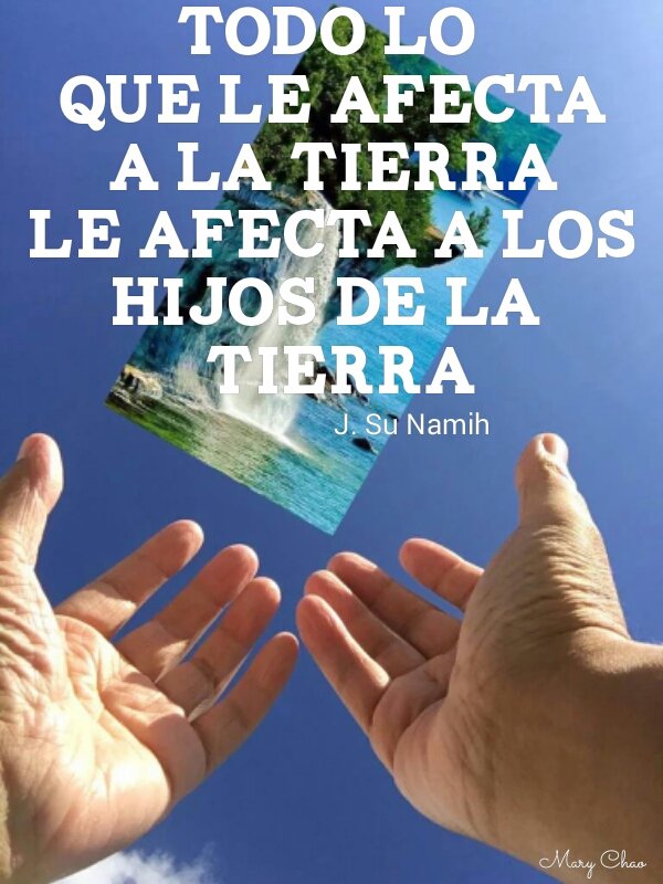 Mary Chao tweet media