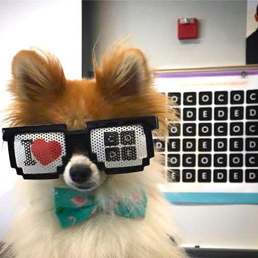 codeorg's tweet image. c spot run

(Thanks to Lacy Adams for this awesome photo!) #CSforAll #evendogs