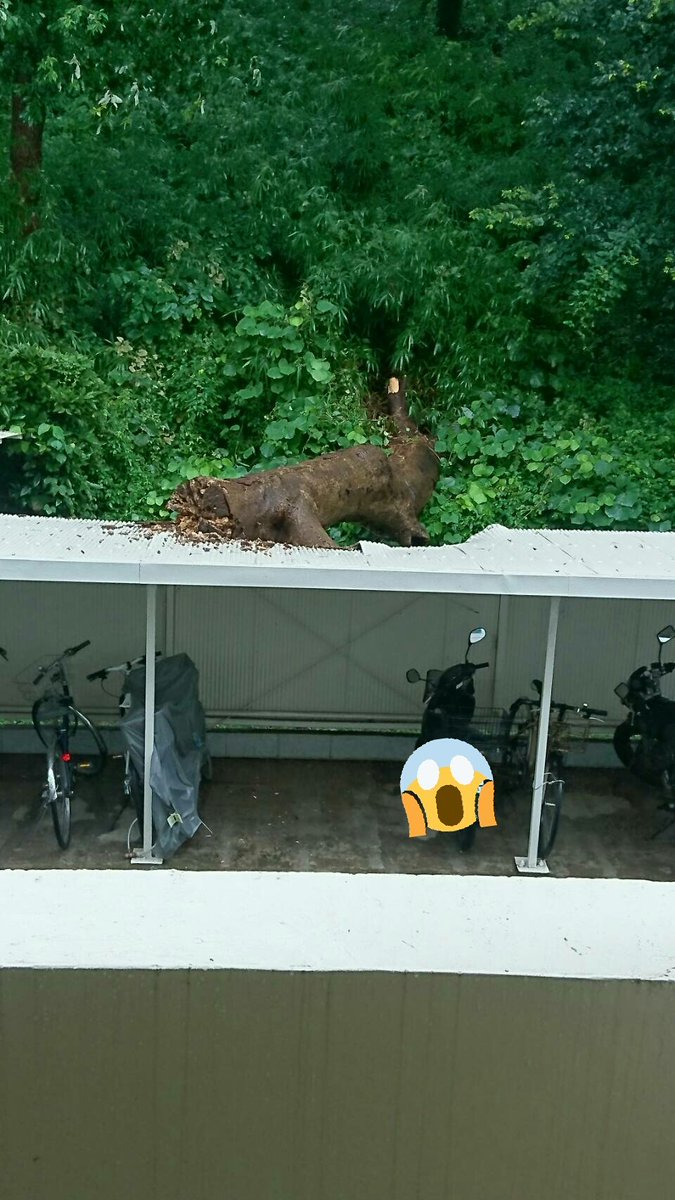 寝れないからここ３日であった面白い話しろ Pencarian Twitter Twitter