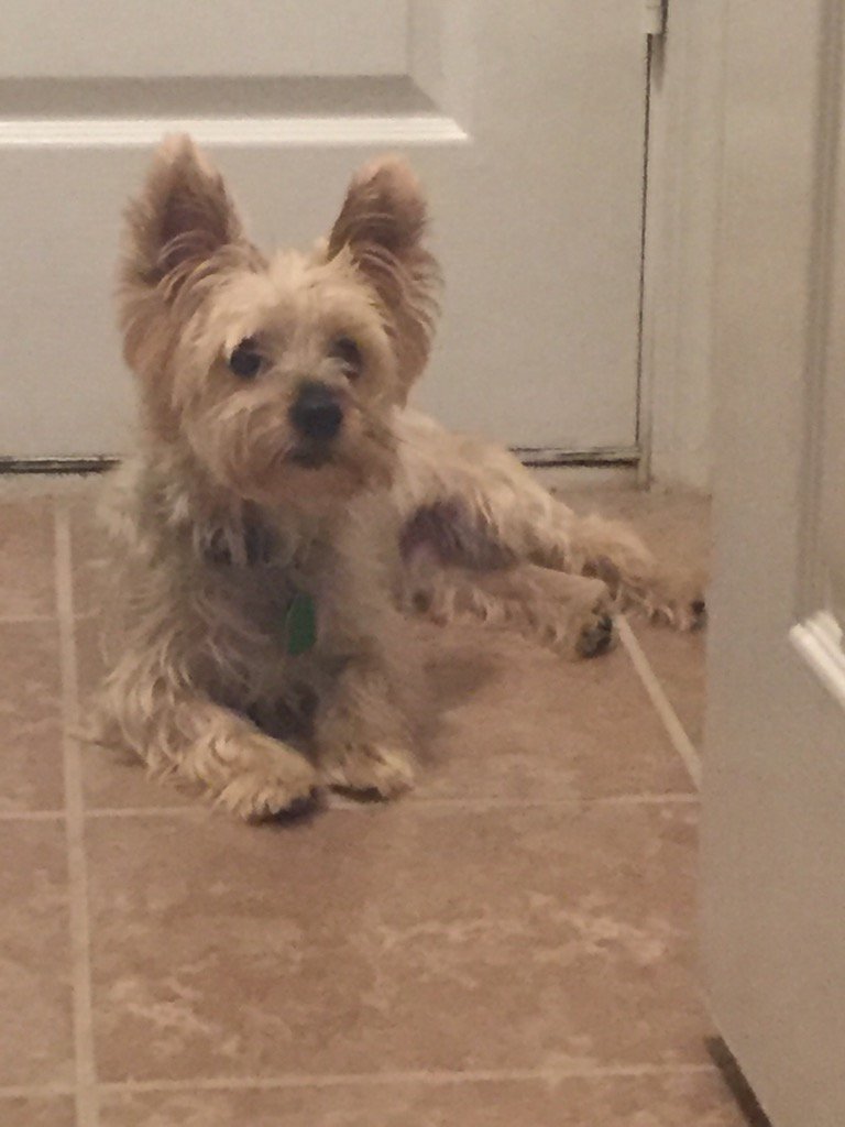 It's so nice having him home tonight!