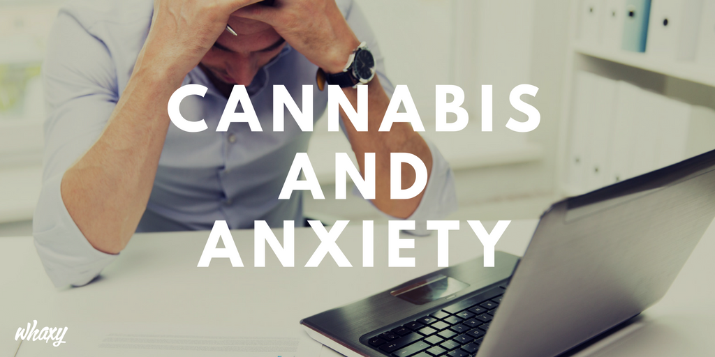 ThinkTankExile's tweet photo. Cannabis Offers a Safer Treatment Option for Anxiety https://t.co/V3ohZ9YAhH https://t.co/RTJB9TSqih