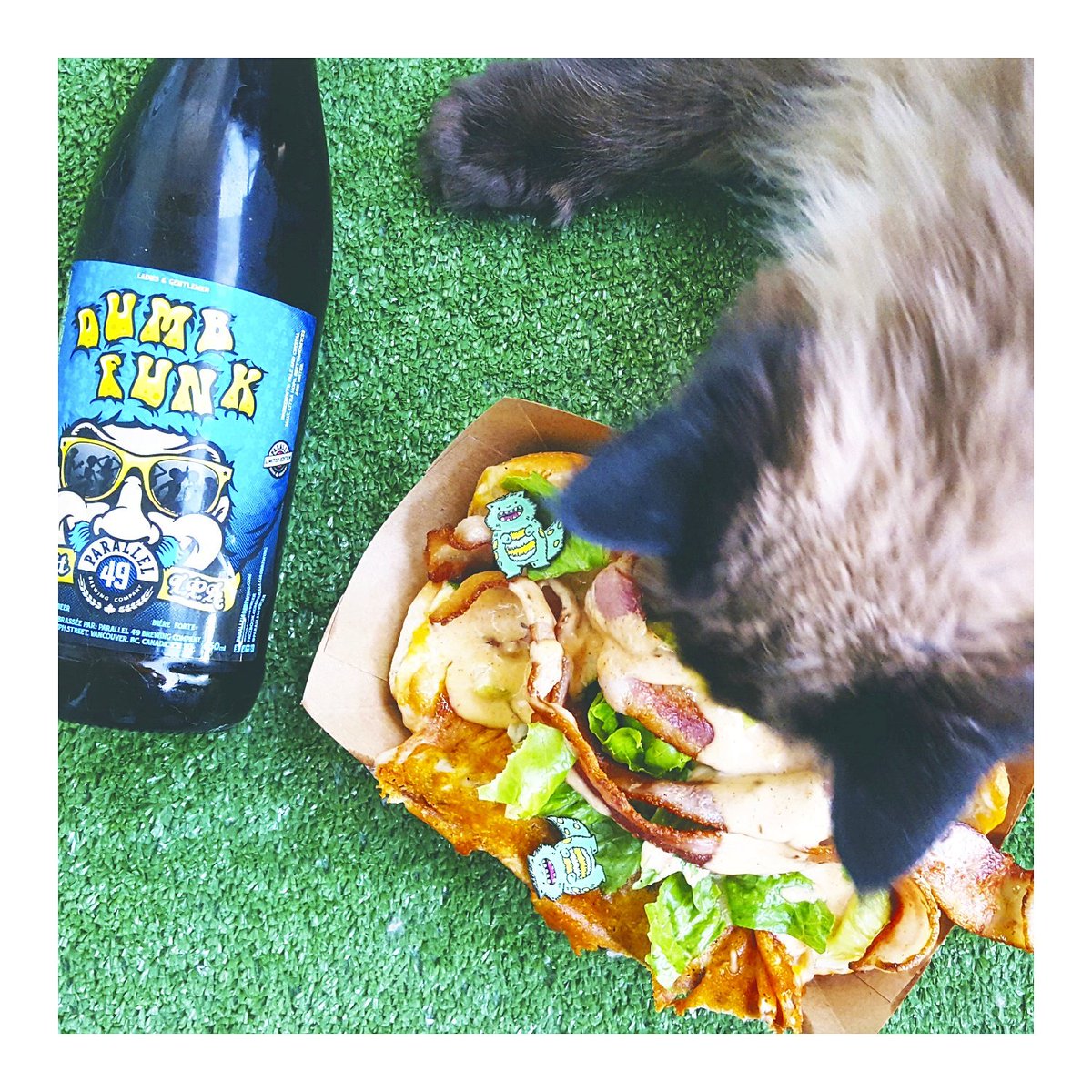 mycatispeople's tweet photo. Throwback to Friday when Mickey &amp; #CatRex discovered @MoBaconTruck &amp; @Parallel49Beer!! #vancityeats #catlife #cheers https://t.co/5Xk0DfBEND