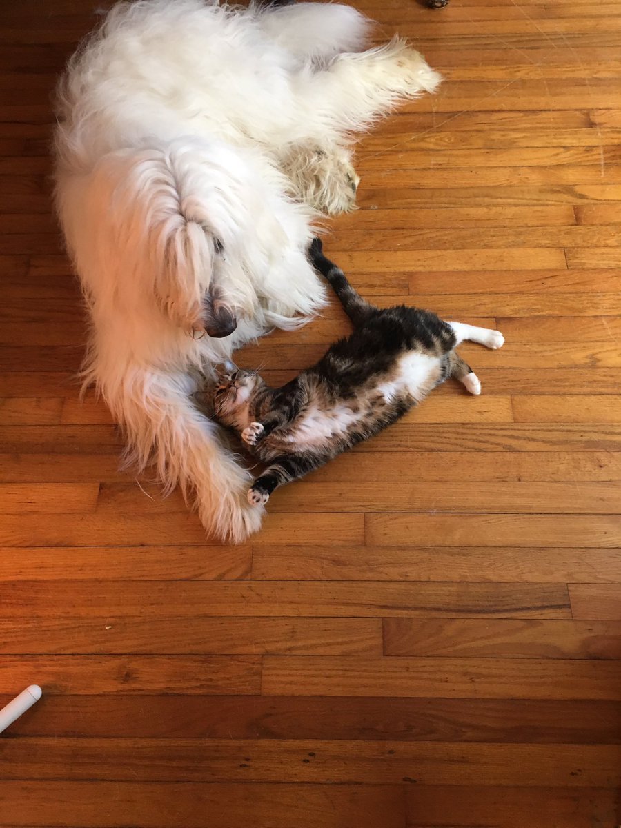 Deeverb's tweet image. 