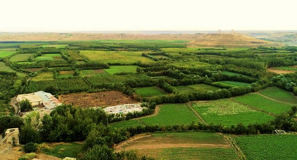 WorldRuralForum's tweet photo. Participa en el estudio sobre la situación de la #Juventud en la #AgriculturaFamiliar  https://t.co/4nqBBZQIy6 https://t.co/OL2HzeYTp2