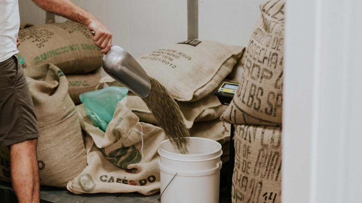 CoffeeJobs's tweet image. The Two Types Of Beans You Absolutely Need To Know buff.ly/2bryicT