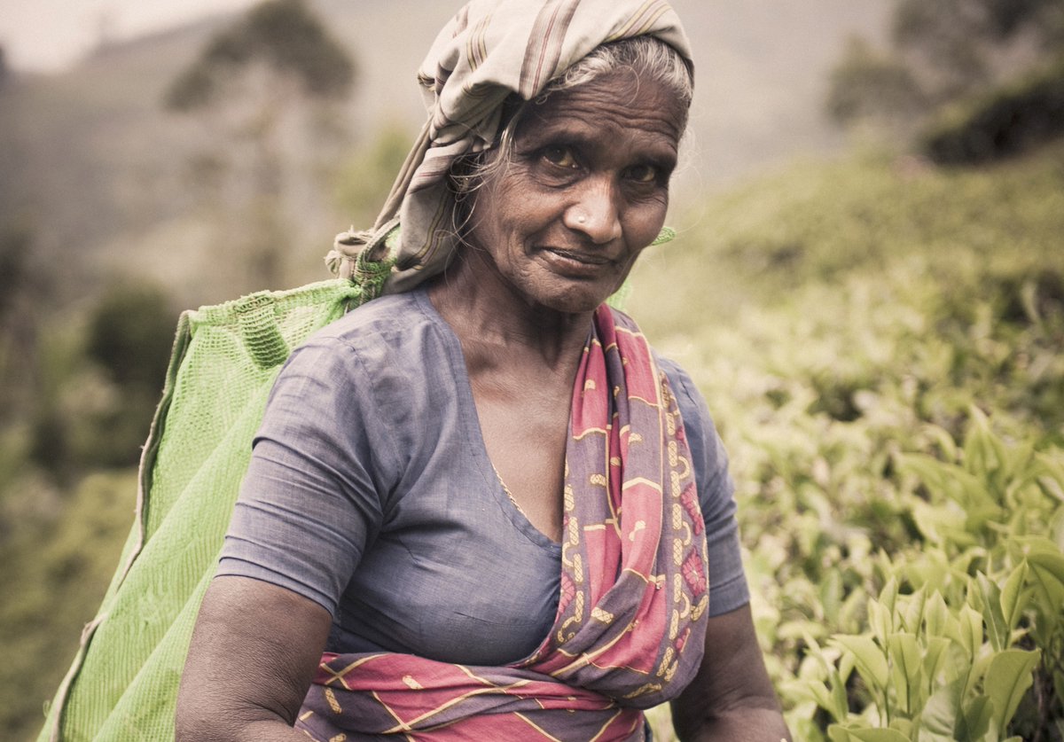 foodtank's tweet image. We will repair our food system when we're willing to sit down &amp;amp; build solutions together! bit.ly/1W5LkO7