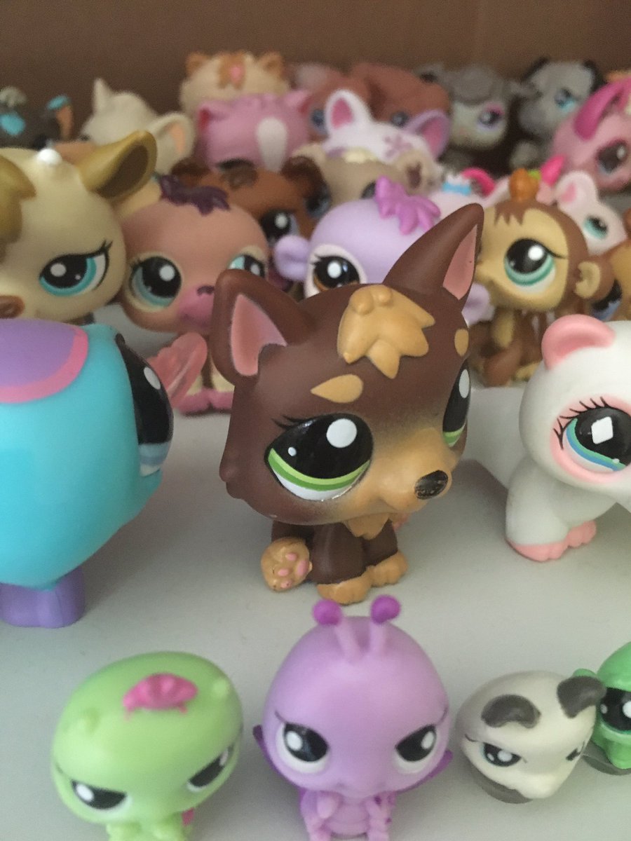 LPSDarkDragon's tweet photo. Check out my recent VLOG #VLOG #LPS #lps tuber #YouTube #DarkDragon https://t.co/UwZLh6l32o
