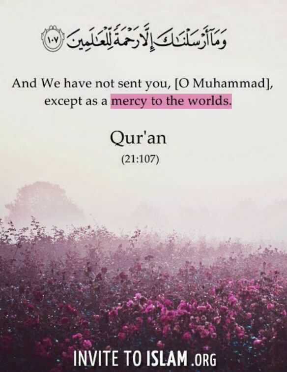 DiscoverTruth1's tweet image. We share because we trully care. Islam says: love the best for all of mankind. #Dawah