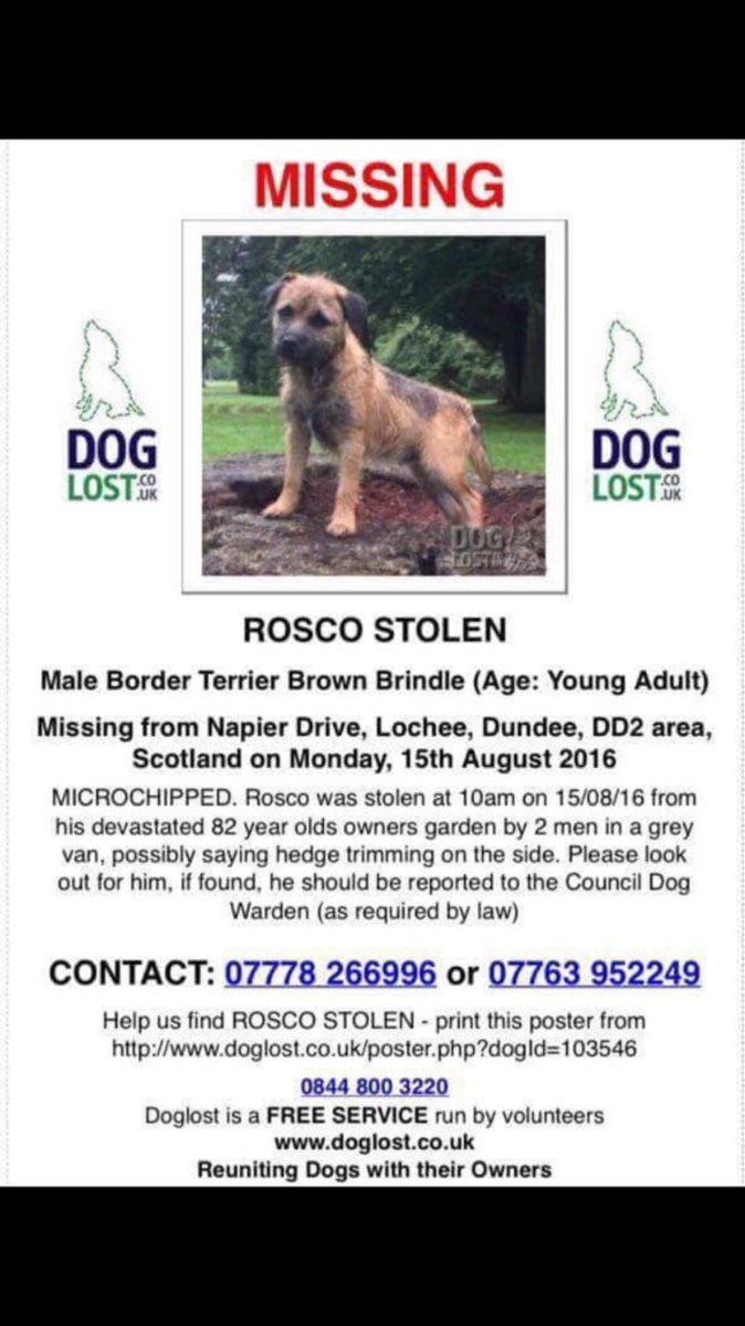 sarajcox's tweet photo. Let's get this boy back! Have you seen Rosco? Elderly owner completely devastated. https://t.co/zVJSFROUMO