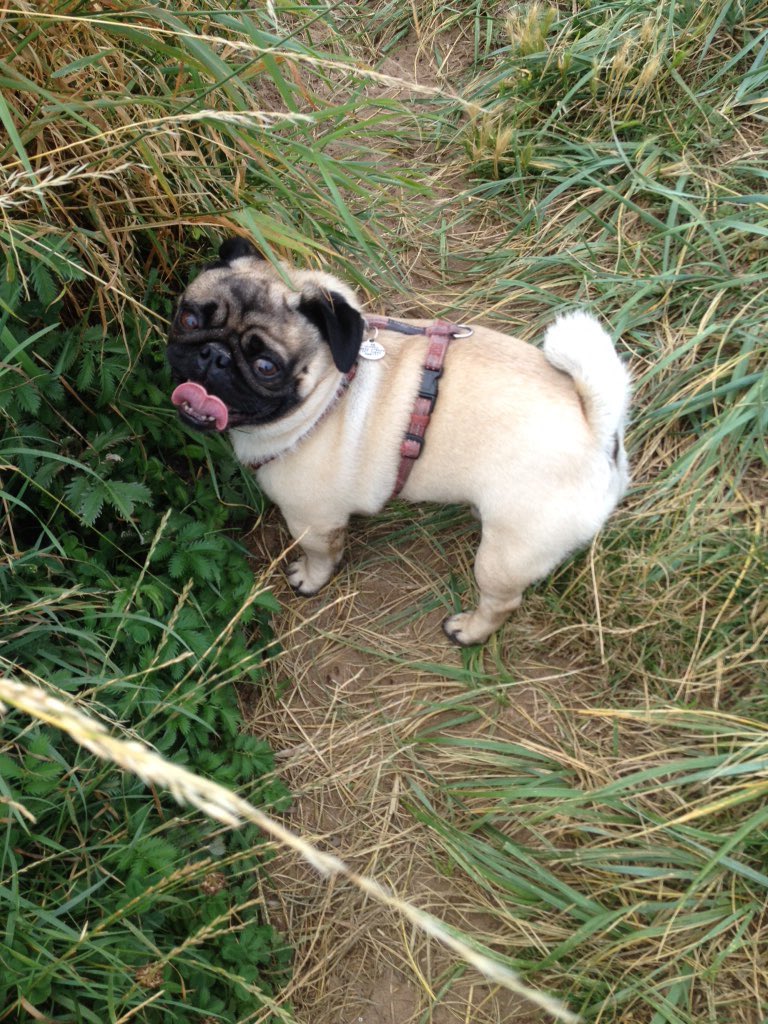 lisasworld333's tweet photo. #tongueouttuesday! https://t.co/zLMkulYCud