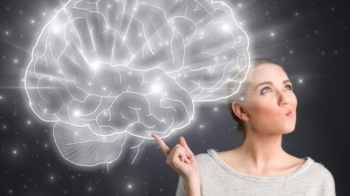 BILD's tweet image. Der große IQ-Test: So schlau ist Deutschland wirklich ... bild.de/news/inland/in…