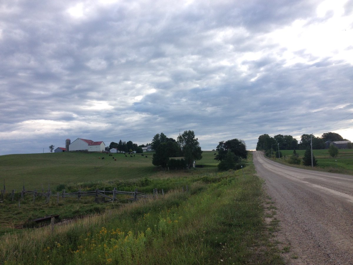 Rowshyra's tweet photo. Great skies this fieldwork morning #fieldwork #skies #biodiversity #gonesampling #mandraklab https://t.co/rCqv6QUcNc