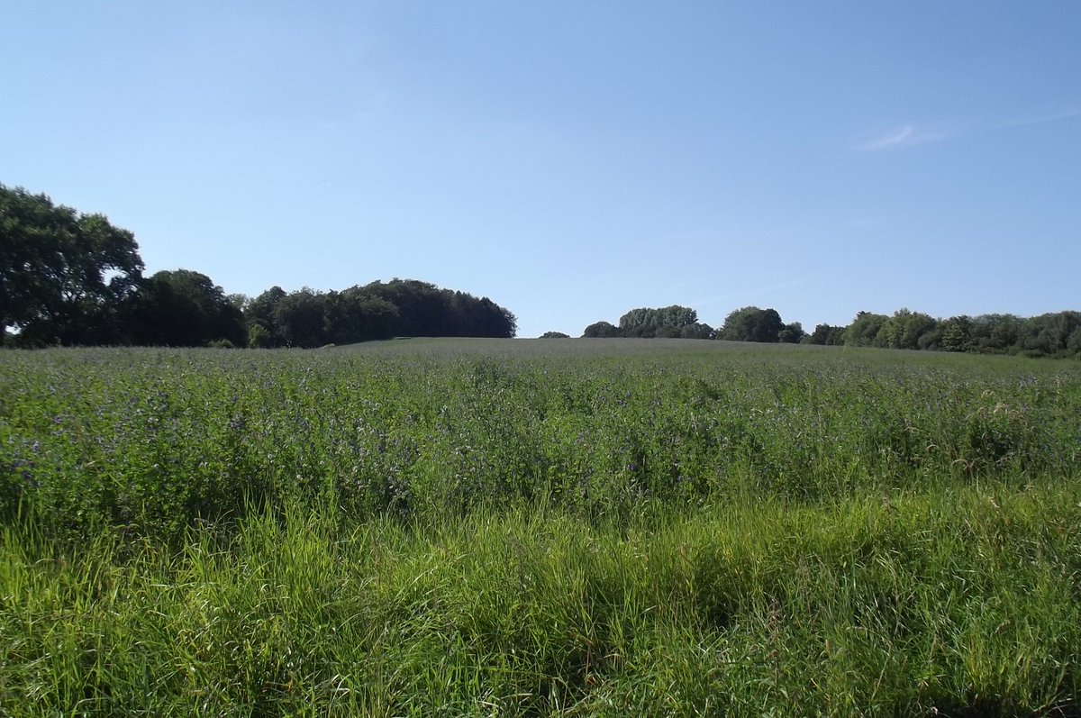 TECKNETPICTURE's tweet image. Meine Hintergrund Bild Aufgenommen mit FUJIFILM FinePix S2980