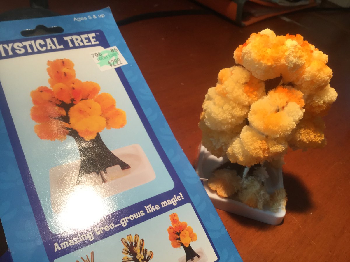 TracyColletto's tweet image. This is a cool thing #mysticaltree