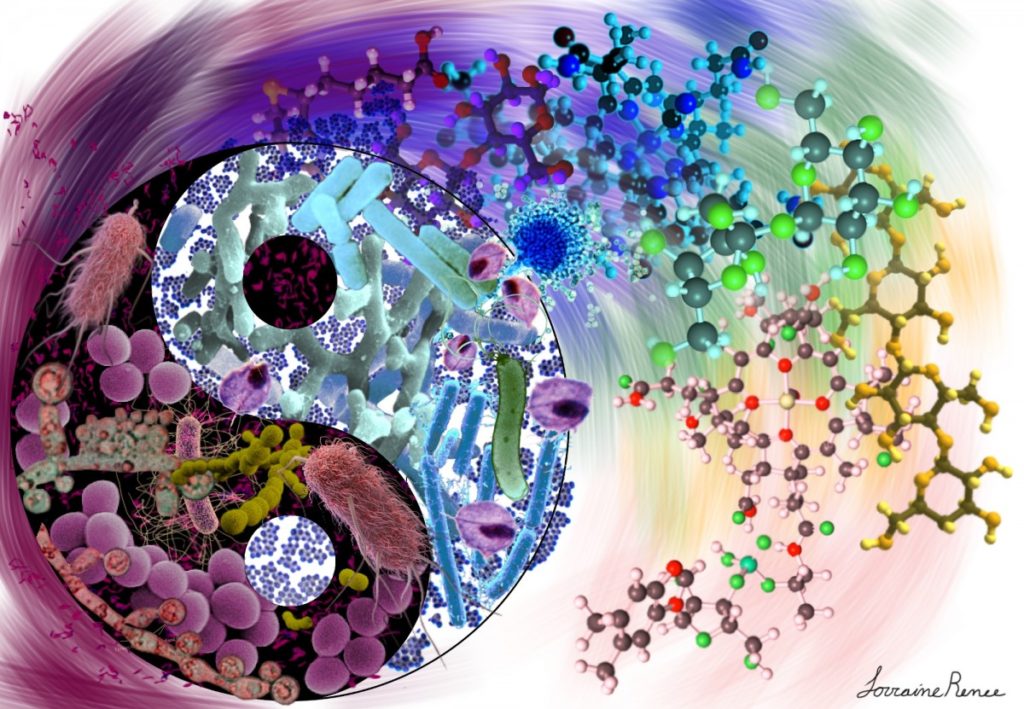 lmancuso_22's tweet photo. Your Body's Ecosystem (Part I) - https://t.co/NRbjLarsjU https://t.co/QhlEbOqXGv
