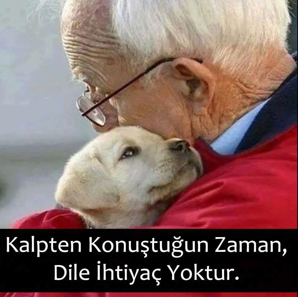sevim_sarac's tweet photo. #SizeBuradanDiyorumKi https://t.co/LBkGjI3NyP