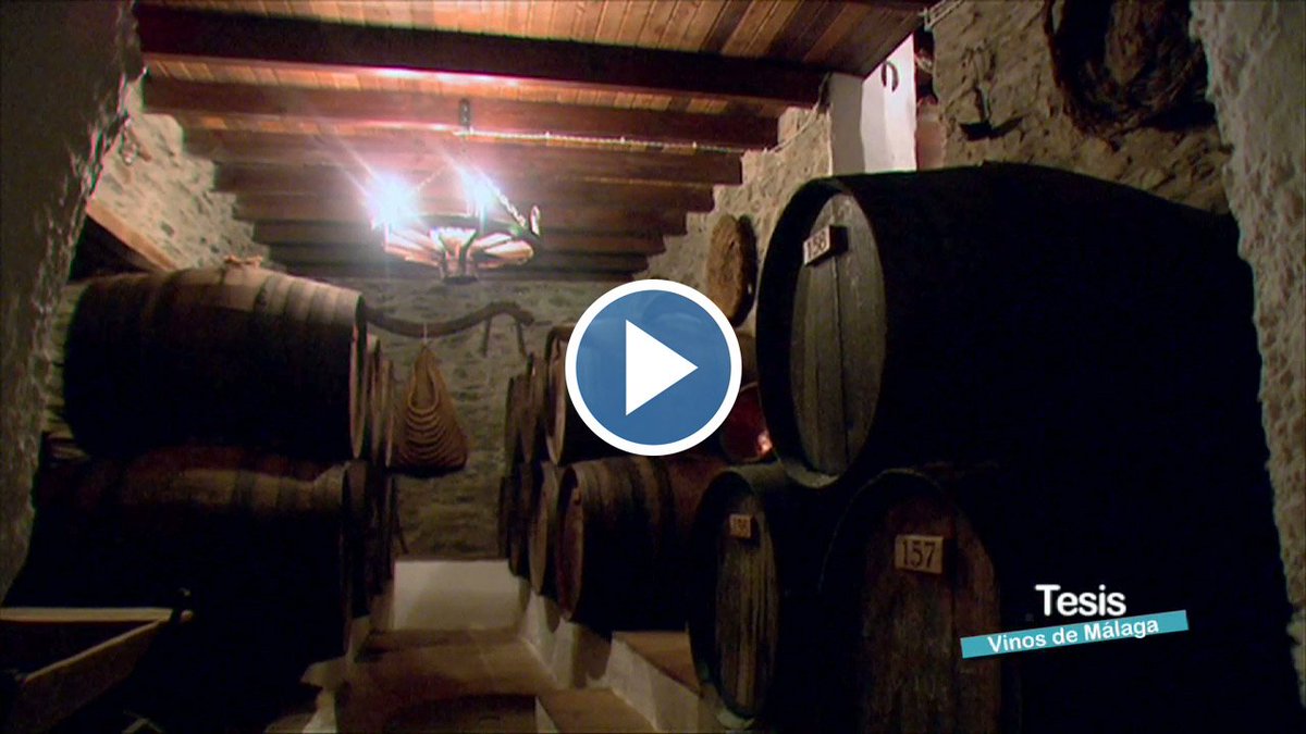 "Vinos de Málaga: Un campo abierto" reportaje sobre las catas y vinos con D.O. Málaga bit.ly/Vinos-Malaga