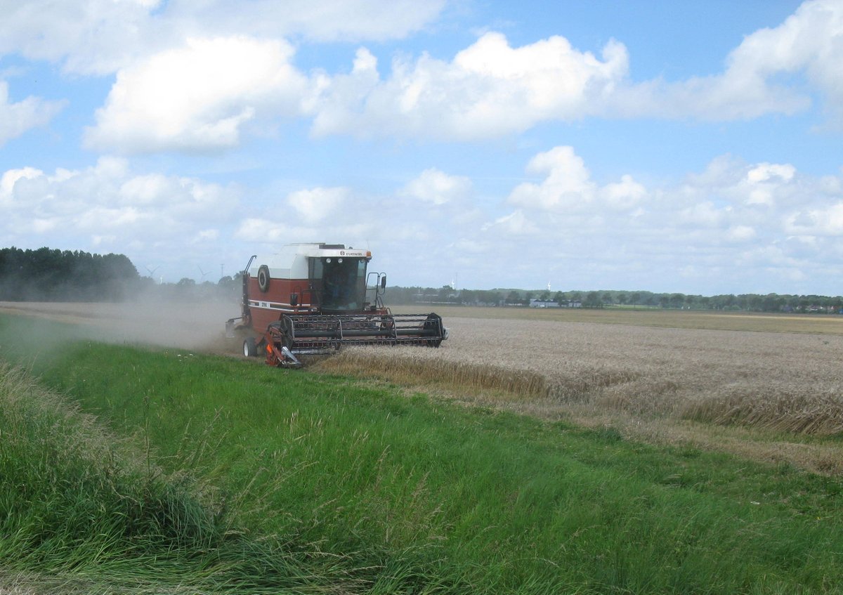 Moerdijkse_stem's tweet photo. Bekijk onze pagina uit de Moerdijkse Bode van deze week op: https://t.co/sMnO5rKKpS #FotovdWeek #Moerdijk https://t.co/KdFsszxDFX
