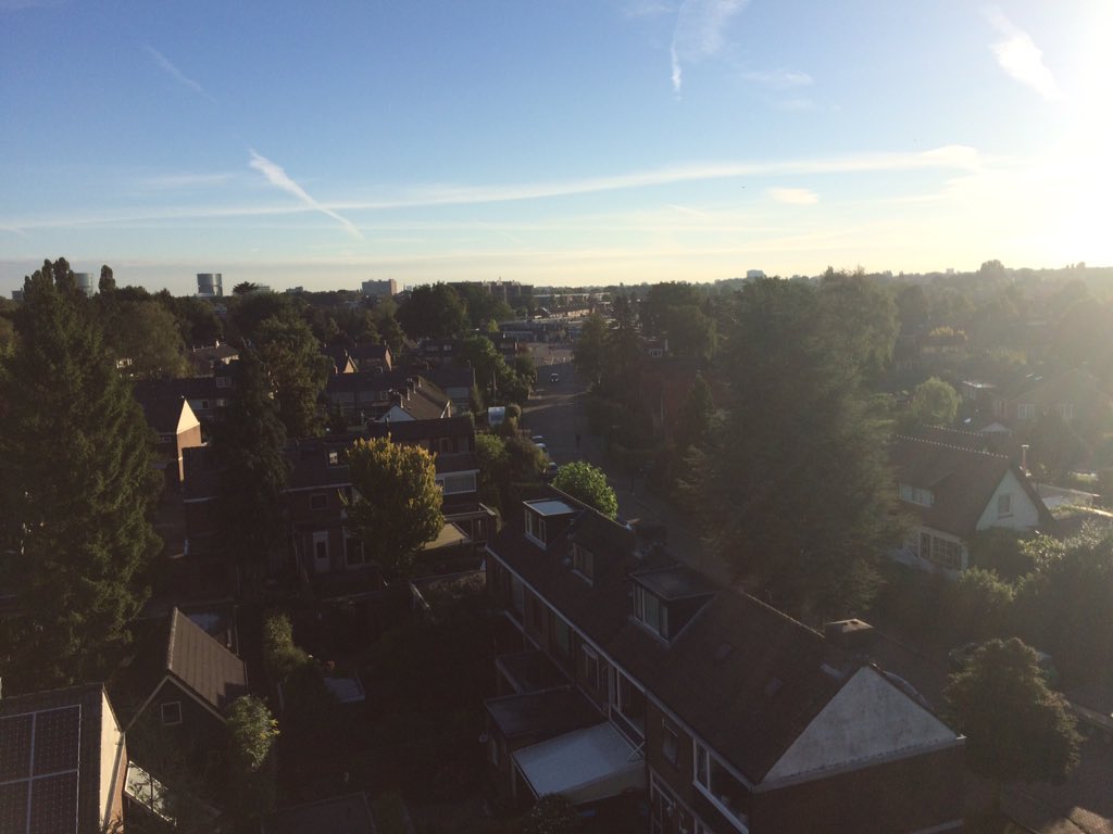 LBoomService's tweet image. Goede morgen  #brinkenorden #apeldoorn #boomkappen #zon