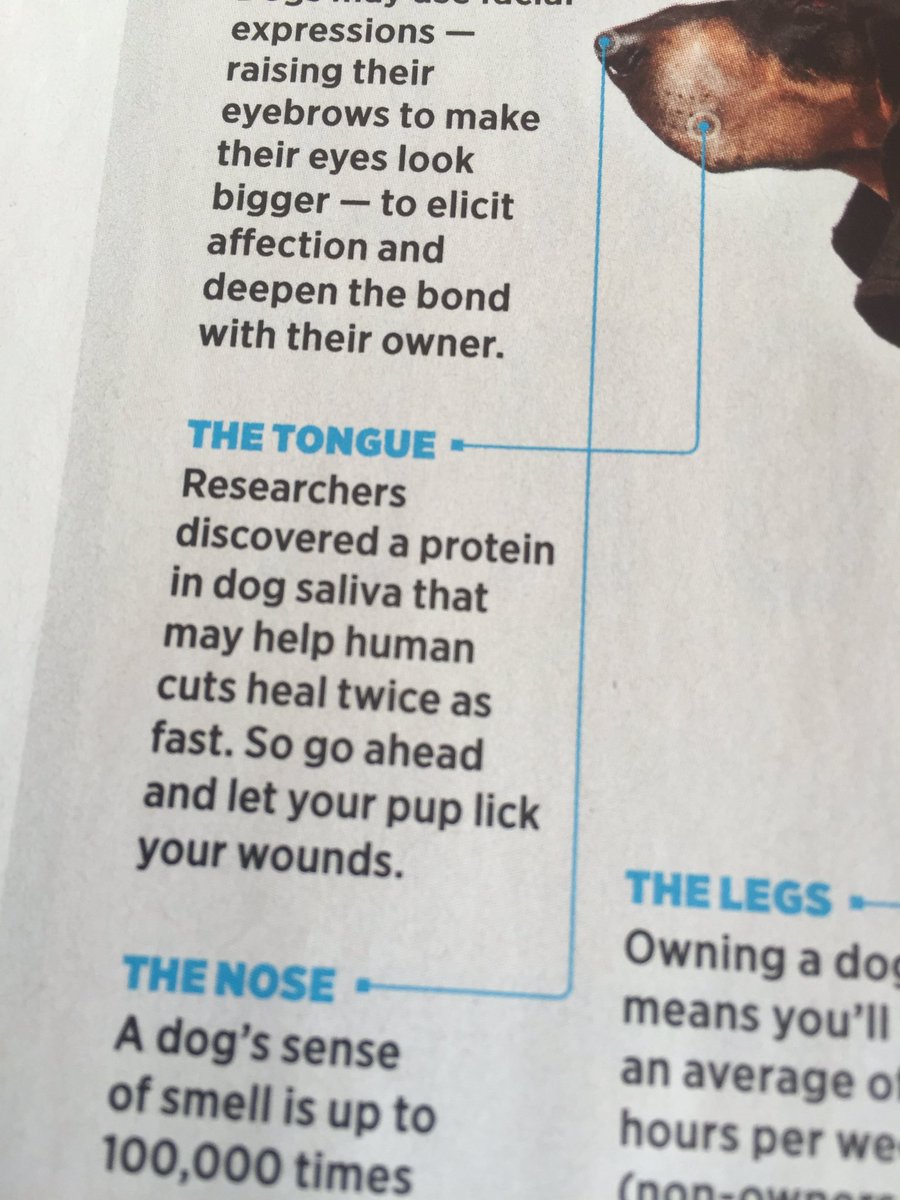 germolene dogs