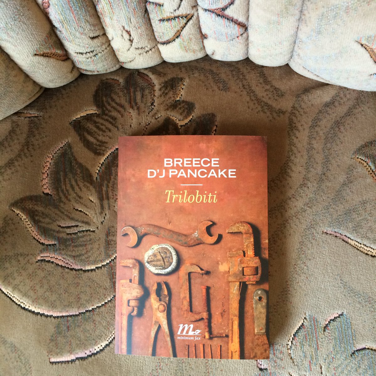 librificio's tweet photo. Grazie @minimumfax per aver fatto rivivere l'incredibile voce di Pancake https://t.co/k5cnjoMG0H
