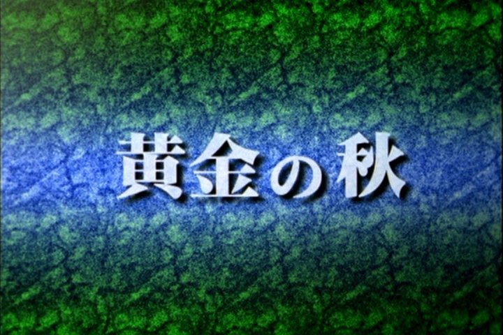 フーゴ814 在 Twitter 上 ガンダム 最終話 黄金の秋 ディアナ様 また明日 後世に残したいアニメの名言 ガンダム 黄金の秋 ターンaガンダム ディアナ ターンエーガンダム ロラン T Co Otrou5jgc8 Twitter