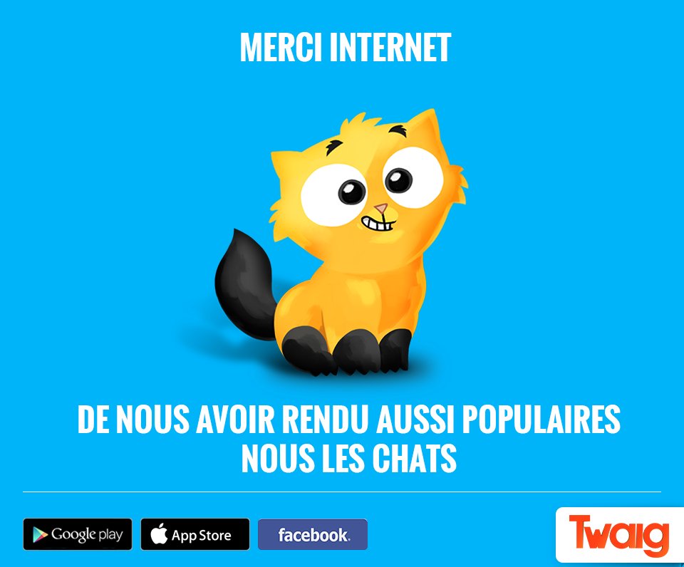 twaigthegame's tweet image. Les chats aussi disent #MerciInternet !