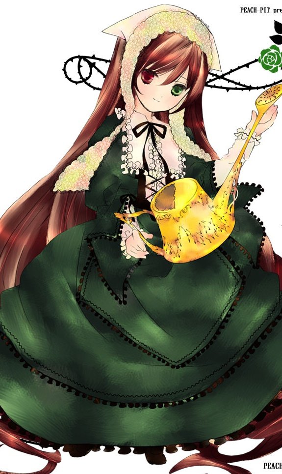 じゅり Juri Suzuna 9 翠星石 ローゼンメイデン 翠ちゃん大好き ˊᗜˋ 双子 小動物 オッドアイ 強がり ナイスすぎめっちゃ可愛い本当好き º º 薔薇乙女皆好きなんですけど翠ちゃんが一番好き ๑ ᴗ ๑ T Co Q15rqk54i1 Twitter