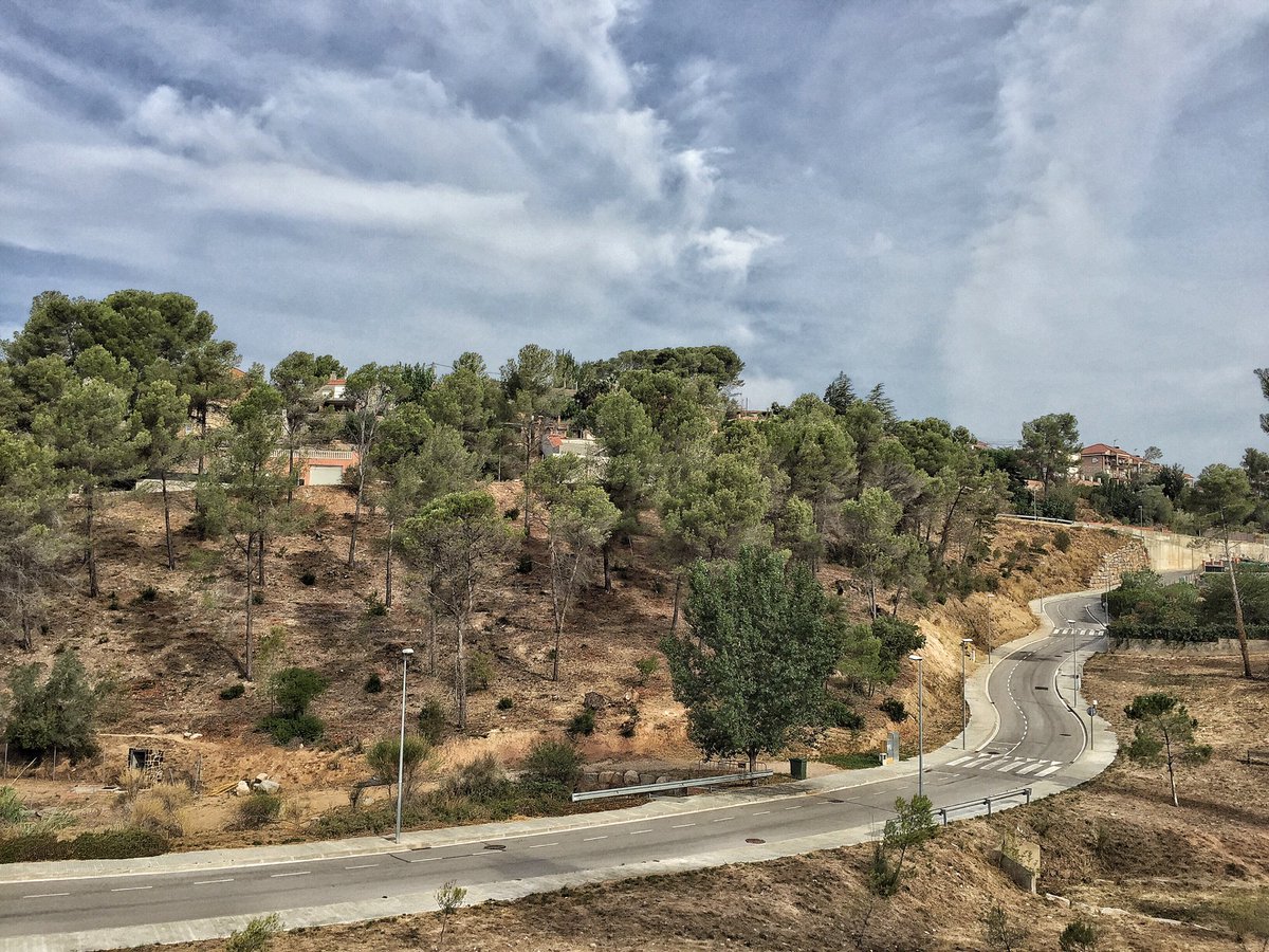 entrearbres's tweet photo. Coordinació de SSL per l'empresa @Fores_Cat manteniment #FrangesPerimetrals a @ajviladecavalls #prevencioIF https://t.co/yryEcTpTBh