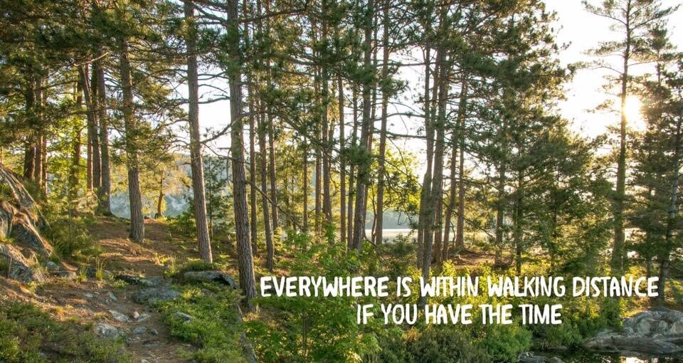 Try telling that to some of our last recruits! #kojax #realsurvivor #adventurer