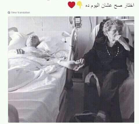 elsayedwbas's tweet image. 