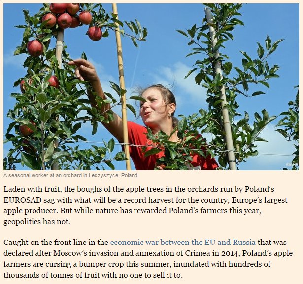 CqixofmWYAAaG7v.jpg:large