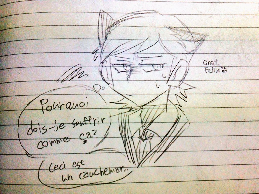 maronirobot's tweet image. 猫耳のFelixさん(Chat Noirではない)
「なぜ僕がこんな目に…悪夢だ…」的な台詞をググ翻先生にフランス語に訳してもらったけど多分いろいろ間違ってる…
#MiraculousLadybug #FelixAgreste