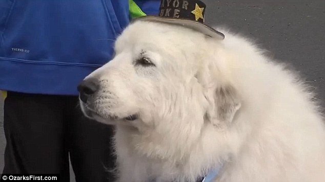 View image on Twitter