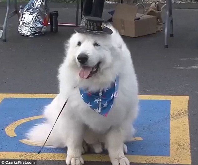 View image on Twitter