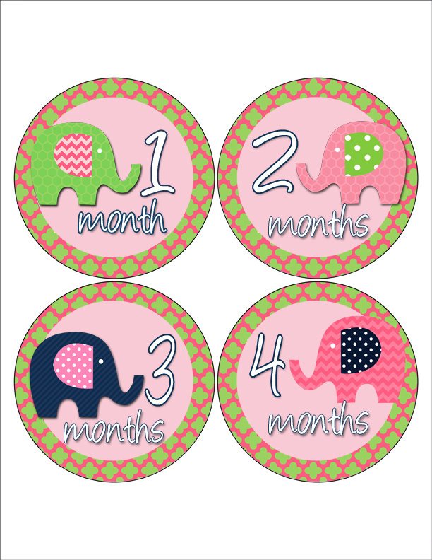 moonlitprints's tweet photo. Elephant Baby Girl Stickers, Milestone Stickers Pink, Month to Month Sti… https://t.co/I7YHhfExj6  #ElephantStickers https://t.co/HwPoEl8h4n