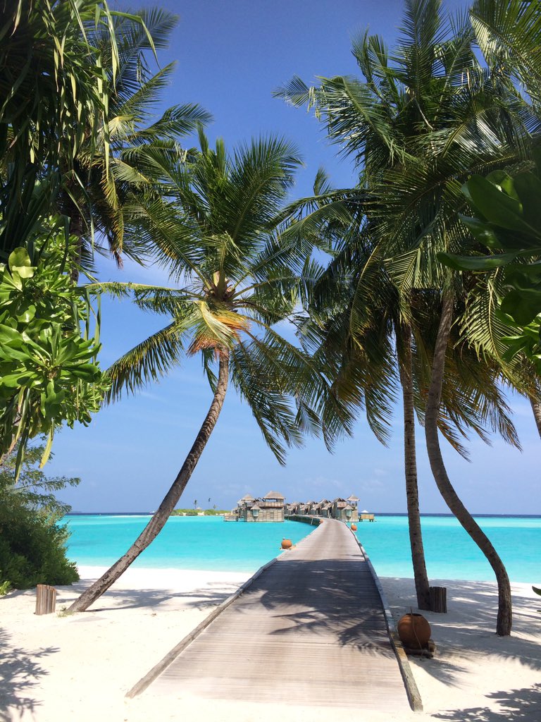 annabaccanello's tweet photo. @GiliLankanfushi simply breathtakingly beautiful. Does it get better than this. Magnificent. @azurecollection https://t.co/uylRVFvCgu