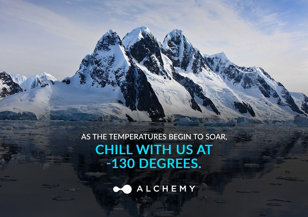 Alchemy tweet media
