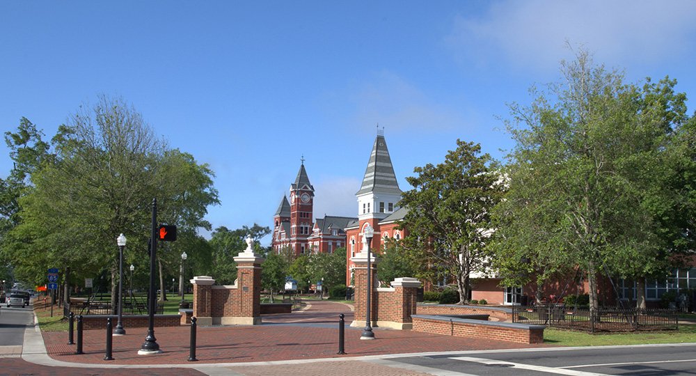 AuburnU's tweet photo. The rolling of the Auburn Oaks at Toomer's Corner returns this fall! https://t.co/ezjdN6wrbC #TwoTreesOneTradition https://t.co/TUvG79znUF